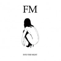 Purchase Fixmer McCarthy - Into The Night