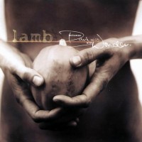 Purchase Lamb - Between Darkness and Wonder