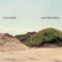 Purchase Lightning Seeds - Four Winds