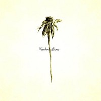 Purchase Patrick Watson - Wooden Arms