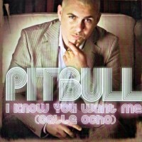 Purchase Pitbull - I Know You Want Me (Calle Ocho) (MCD)