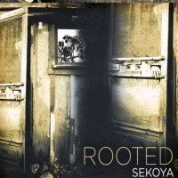 Purchase Sekoya - Rooted