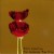 Purchase The Legendary Pink Dots- Poppy Variations MP3