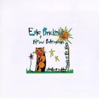 Purchase Edie Brickell & New Bohemians - Shooting Rubberbands At The Stars