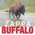 Buy Frank Zappa - Buffalo Mp3 Download