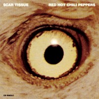 Purchase Red Hot Chili Peppers - Scar Tissue (CDS)