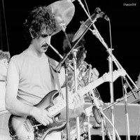 Purchase Frank Zappa - Ahoy Hall, Rotterdam, Netherlands, 27-Feb-1979 (Live)