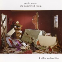 Purchase Sonic Youth - The Destroyed Room: B-Sides and Rarities