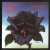 Purchase Thin Lizzy- Black Rose (A Rock Legend) MP3