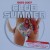 Purchase VA- Ibiza 2007 Club Summer CD1 MP3