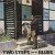 Purchase Bobby Bland- Two Steps From The Blues MP3
