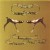Purchase Modest Mouse- Everywhere And His Nasty Parlour Tricks (EP) MP3