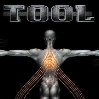 Purchase Tool - Salival