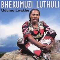 Purchase Bhekumuzi Luthuli - Udumo Lwakhe