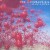 Buy The Cranberries - Irish Coffee Mp3 Download