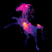 Purchase Muse - Knights Of Cydonia (EP)