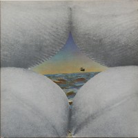 Purchase Bruce Cockburn - Salt, Sun and Time (Vinyl)