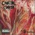 Buy Cannibal Corpse - The Bleeding Mp3 Download