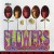 Buy The Rolling Stones - Flowers (Vinyl) Mp3 Download