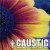 Buy Caustic - Unicorns, Kittens, And Shit Mp3 Download
