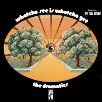 Purchase The Dramatics - Whatcha See Is Whatcha Get (LP