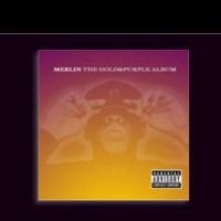 Purchase Jay-Z - Gold & Purple Album