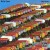 Buy McCoy Tyner - 13Th House (Vinyl) Mp3 Download