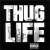 Buy 2Pac - Thug Life Mp3 Download