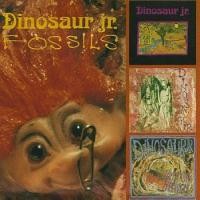 Purchase Dinosaur Jr. - Fossils