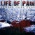 Purchase Life of Pain (Oidoxie Solo) - Sünder ohne Ehre- Sünder ohne Ehre MP3