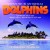 Buy Sting - Dolphins (Soundtrack) Mp3 Download