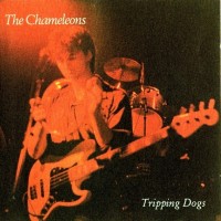 Purchase The Chameleons - Tripping Dogs