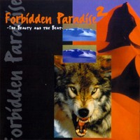 Purchase Tiësto - Forbidden Paradise 02