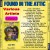 Purchase VA- Found In The Attic, Vol. 3 MP3