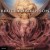 Buy Bruce Dickinson - Anthology (DVD2) CD2 Mp3 Download