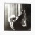 Buy U2 - Wide Awake In America (EP) Mp3 Download