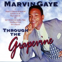 Purchase Marvin Gaye - 1993  -  Marvin Gaye In Concert (Live) 1993