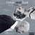 Purchase Penguin Cafe Orchestra- Oskar und Leni MP3