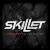 Buy Skillet - Comatose Mp3 Download