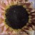 Buy Tracy Chapman - New Beginning Mp3 Download