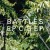 Buy Battles - EP C/B EP CD1 Mp3 Download