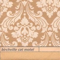 Purchase Birchville Cat Motel - Long Vanished Spirals