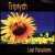 Purchase Triptych- Lost in Paradise MP3