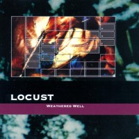 Purchase Locust - Weathered Well