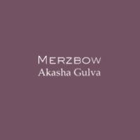 Purchase Merzbow - Akasha Gulva