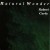 Buy Robert Carty - Natural Wonder Mp3 Download