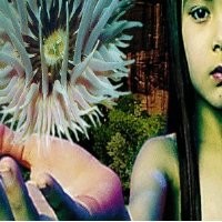 Purchase The Future Sound Of London - Lifeforms