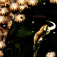 Purchase Synaesthesia - Embody