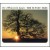 Buy The Mountain Goats - The Sunset Tree Mp3 Download