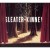 Buy Sleater-Kinney - The Woods Mp3 Download